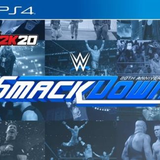 PlayStation 4 Game WWE 2k20 Collectors Edition